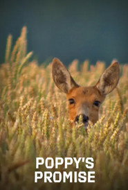 Poppy's Promise: Secret Life in a Cornfield poster