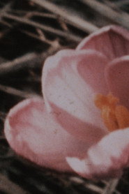 Kumbum 1+1 (1975-1987)