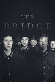 poster The Bridge