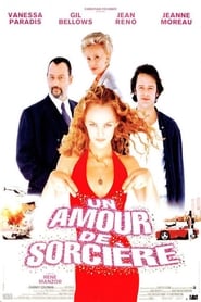 Voir film Un amour de sorcière en streaming