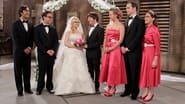 The Big Bang Theory season 5 episode 24