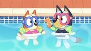 Bluey season 1 episode 22