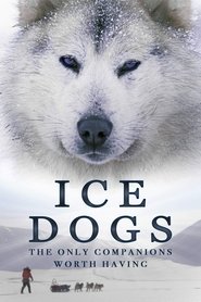 Poster of Ice Dogs: The Only Companions Worth Having image size 1066x1600