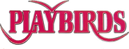 Logo of The Playbirds image size 1704x650