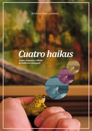 Cuatro Haikus