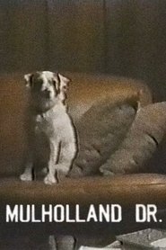 Poster of Mulholland Dr. image size 720x1080