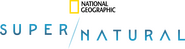 Logo of Super/Natural image size 4312x1137