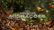 Les grandes migrations  