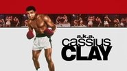 Backdrop of a.k.a. Cassius Clay image size 2560x1440
