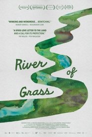 poster River of Grass