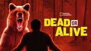 Backdrop of Dead or Alive image size 3840x2160