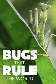 Poster of Bugs That Rule the World image size 1000x1500