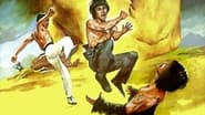 Bruce and Shaolin Kung Fu wallpaper 