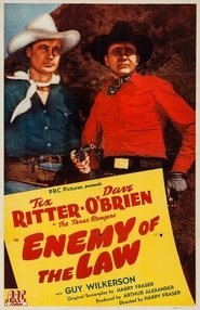 Poster of Enemy of the Law image size 1849x2858
