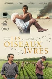 Film Les oiseaux ivres en streaming