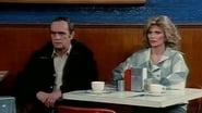 Newhart season 3 episode 17