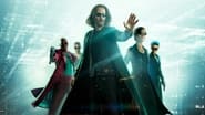 Matrix Resurrections wallpaper 