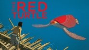 Backdrop of The Red Turtle image size 1920x1080