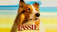 Lassie : Des amis pour la vie wallpaper 