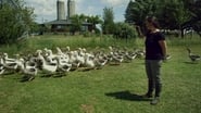 La ferme et son état wallpaper 