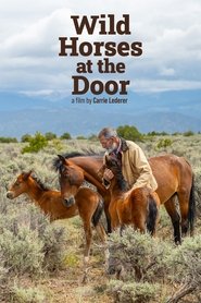 poster Wild Horses at the Door