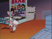 Brainwashed Pt. 2: I Am Not a Hat