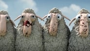 Oh Sheep! wallpaper 