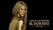 Shakira In Concert - El Dorado World Tour wallpaper 