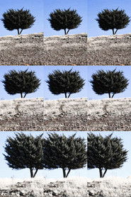 poster Where is the Final Destination?