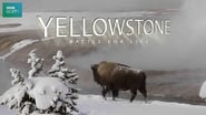 YellowStone  