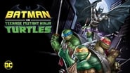 Batman et les Tortues Ninja wallpaper 