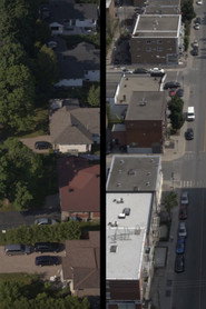 Neighbors in My Backyard poster