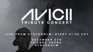 Avicii Tribute Concert - In Loving Memory of Tim Bergling wallpaper 