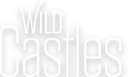 Logo of Wild Castles image size 2141x1299
