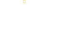Logo of Sharks vs. Dolphins: Blood Battle image size 2447x1300