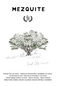 poster Mezquite