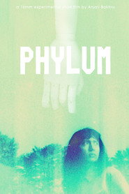 Phylum