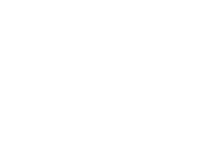 Logo of Black Widow image size 1637x1290