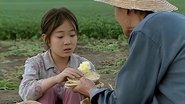暖春  