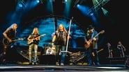 Lynyrd Skynyrd: Last of the Street Survivors Farewell Tour Lyve! wallpaper 