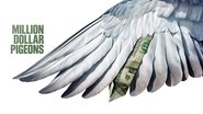 Backdrop of Million Dollar Pigeons image size 3840x2160