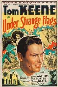 poster Under Strange Flags