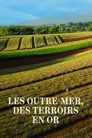 Les Outre-mer, des terroirs en or