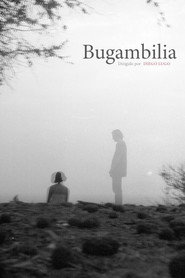 Bugambilia