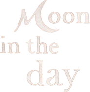 Logo of Moon in the Day image size 323x330