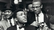 Qui a tué Malcolm X ? season 1 episode 3