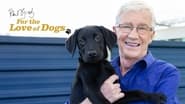 Paul O'Grady, pour l'amour des chiens  