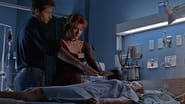 X-Files : Aux frontières du réel season 2 episode 8