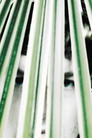 poster Longing of the idle plants
