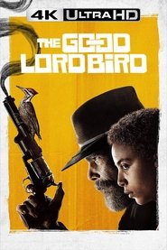 Poster of The Good Lord Bird image size 667x1000